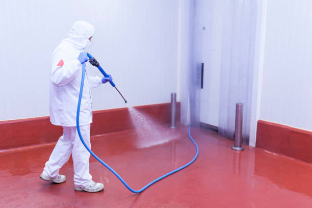 Boat and Dock Cleaning in Tracyton, WA