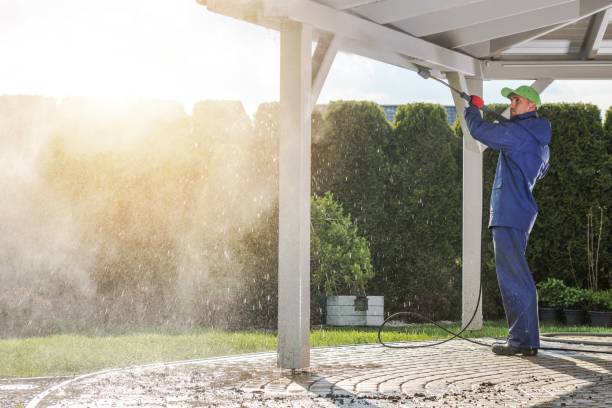 Best Dumpster Area Cleaning  in Tracyton, WA